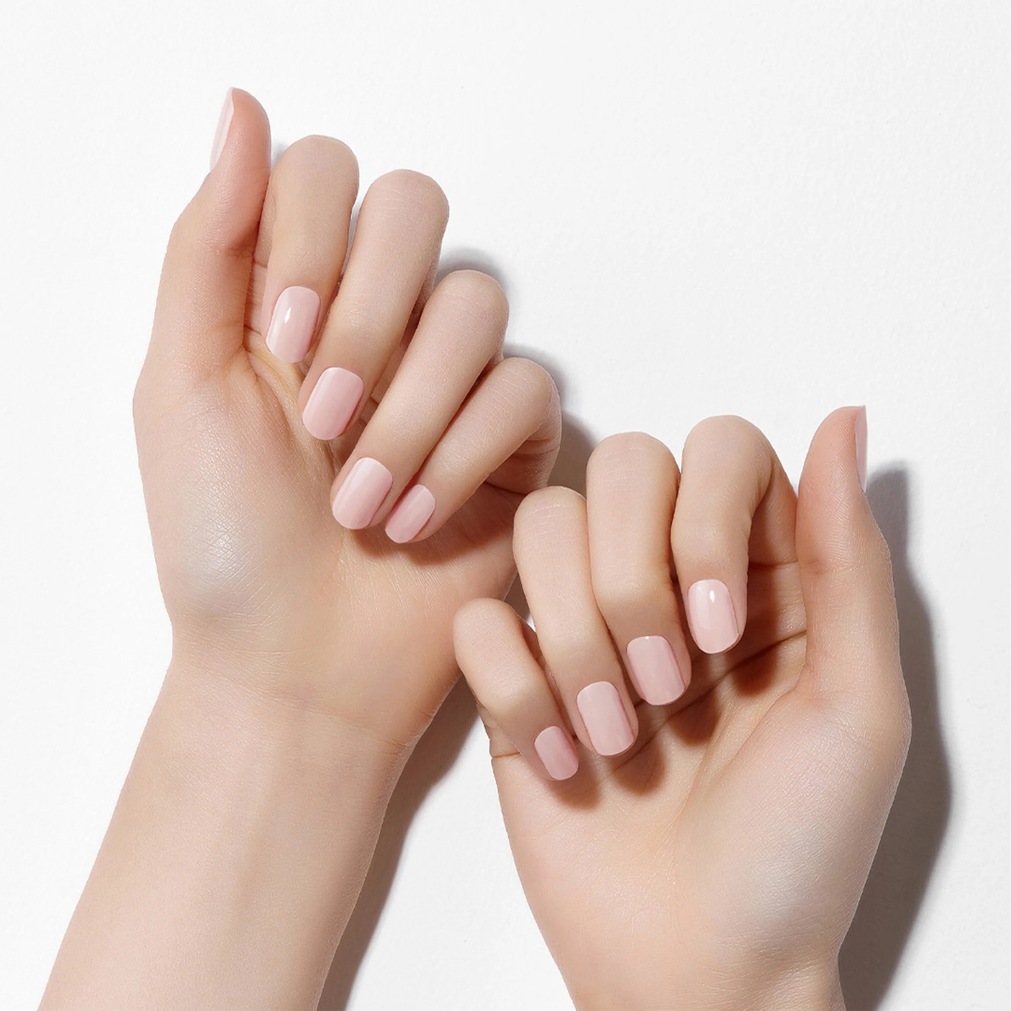Pale Blush - Image 2