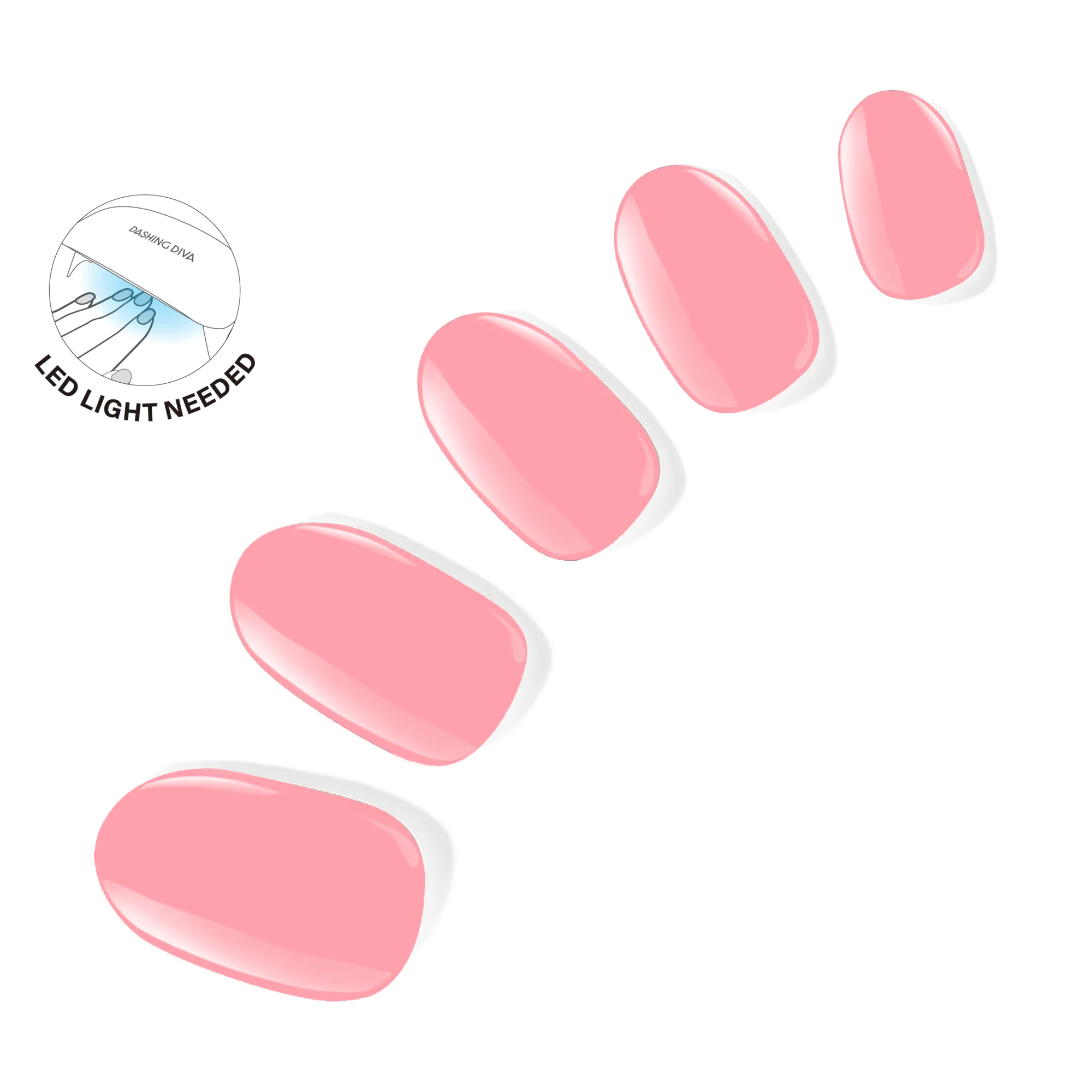 The Lolli Lolli - Image 6