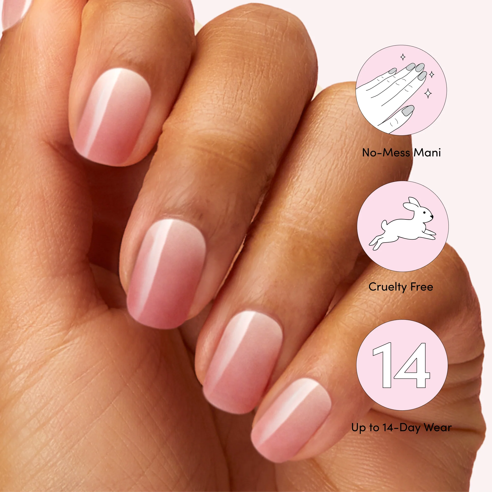 Rosewater Glam - Image 5